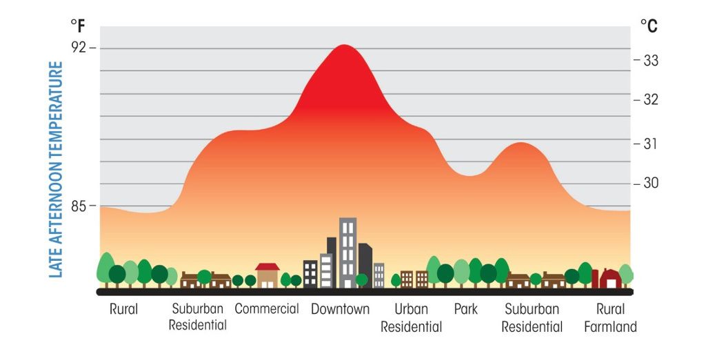 6a010536b58035970c017744ad1afa970d